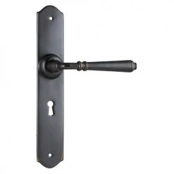 Handles & Hardware TRADCO REIMS LEVER ON LONG BACKPLATE