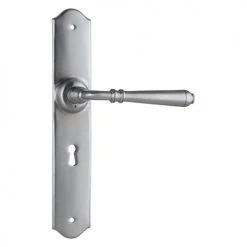 Handles & Hardware TRADCO REIMS LEVER ON LONG BACKPLATE