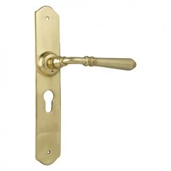 Handles & Hardware TRADCO REIMS LEVER ON LONG BACKPLATE